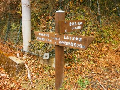 ここでつつじ新道へ。入山して4.8kmで檜洞丸か～結構長そう