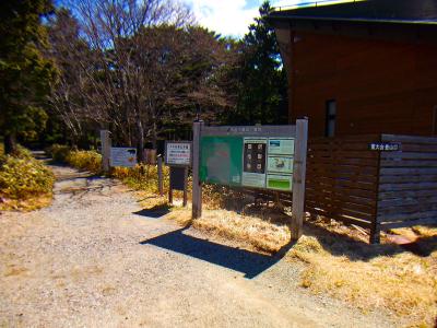 東大台登山口から入山