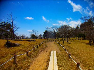 続いて尾鷲辻から牛石ヶ原を目指す。ここからもなだらかな道が続く