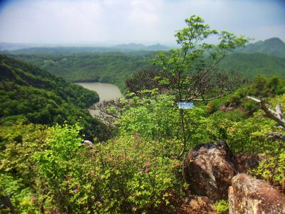 ここが東大岩岳山頂。標高は大岩岳より低い