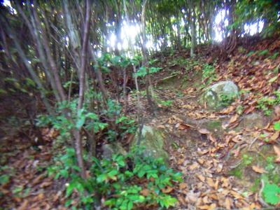 宰相ヶ岳への登りは人があまり入ってないせいか、少し荒れていた