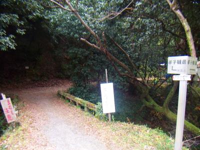この橋を渡る