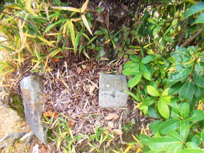 泉南飯盛山山頂の裏側に三角点があった