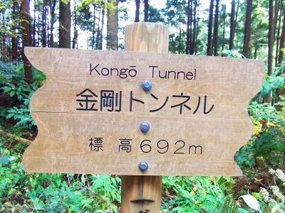 ここは国道310号線の金剛トンネルの上を歩いてるのかな！？標高にして692mと結構高いところにいる
