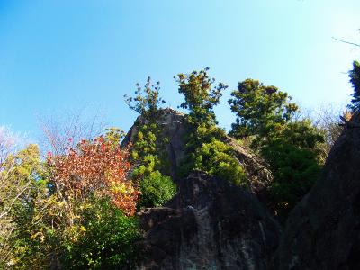 今日は文句のない晴天だ。剣尾山は真っ青な空が広がるので期待できそう