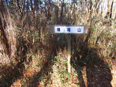 とりあえず横尾山が次の目的地なので向かう