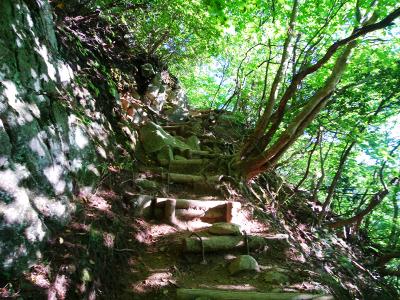 続いて登山道の連続する階段が続く