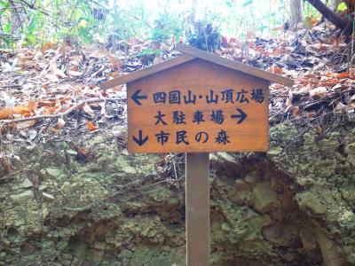 尾根にでると分岐点。大駐車場のほうから登ったほうが斜面はなだらかだったかも!?