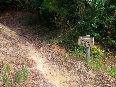 山頂広場より、高森山はこのハイキングコースを進む