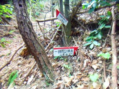 途中でこのような道標というかプレートがあった