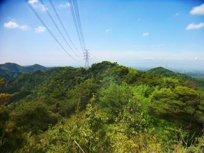 一徳防山の三角点より見えている鉄塔右側のピークが一徳防山の山頂。とりあえず山頂へ行ってみる
