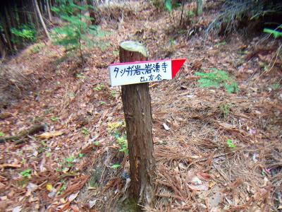 途中でまた案内プレートがあった。山友会の方はどこでも歩いてるっぽいな