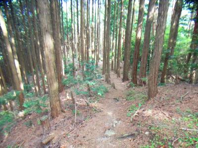 編笠山の山頂からは下りになる。こっちから登ったほうが楽だったかな！？
