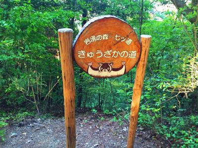 きゅうざかの道に立派な看板が立っていた。岩湧の森の七ツ道の一つらしい