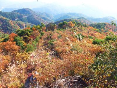 山頂から少し北側を下ったところに鉄塔があって、そこからの展望も良い