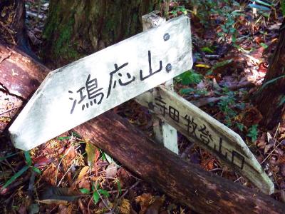 ここで道標もちろん鴻応山のほうへ