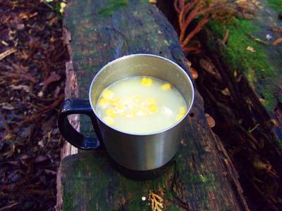 最初は胃袋に負担をかけないために、ポタージュを作って飲む