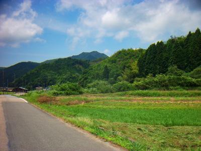 奥に見えるのがおそらく白髪岳