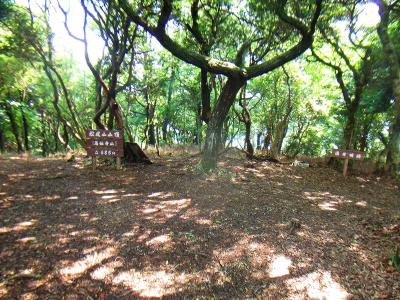 ここが松尾山の山頂。こっちも山頂は広かった