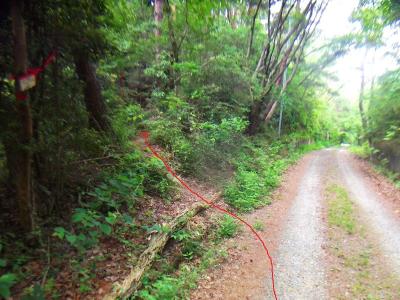 梵天山山頂はここを左に登っていく