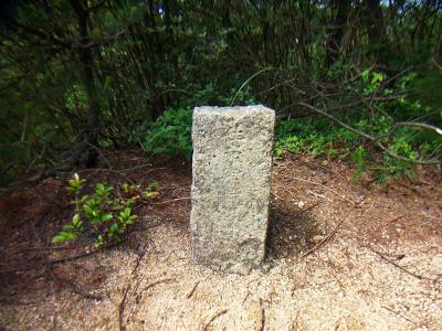 社家郷山山頂がこれらしい