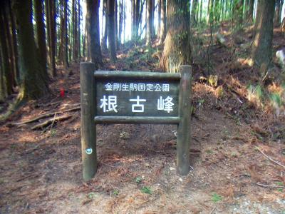 ダイトレにある根古峰の看板。この看板の後ろのピークへ登る