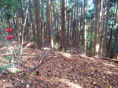 ここでまた分岐。関電道（火の用心）のプレートをみてみる