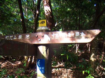 このまま十文字山へ向かう