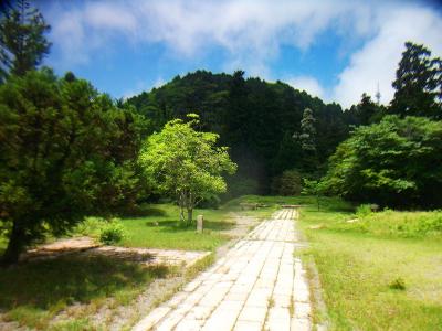 摩耶山のピークらしきものが見えた。もう近い感じだけど、まだ少し歩く