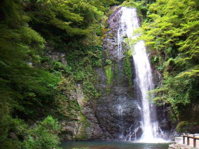 箕面の滝。ここだけはやはり涼しい