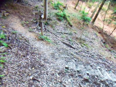 桜谷コースで下山していくとこのような分岐がある