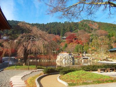 勝尾寺内には池や橋もあって結構豪華な寺かも
