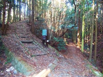 自然研究路5号線の分岐に戻って府道のほうへ降りてきた付近。ここから府道にでて勝尾寺まで下る