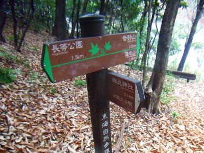 東海自然歩道出合。音羽山まで3kmと結構長そう
