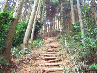 やっとピークらしきものが見えてきて登りきると階段が終わるはず
