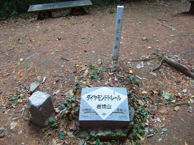 岩橋山の山頂三角点。ダイヤモンドトレールの立派な石板もあった