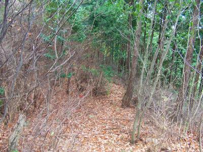 山頂手前だけど、わずかな踏み跡はあるものの道がわかりにくい