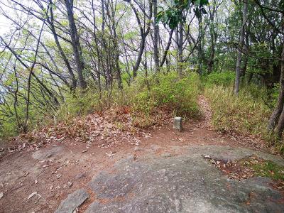 高尾山山頂(278m)に到着。三角点がポツンとあるだけで山頂は何もない