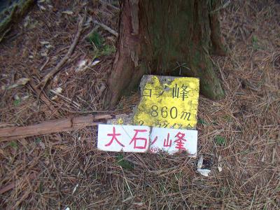 木の下にも割れたプレートがあった。大石ノ峰とも呼ばれているのかな！？