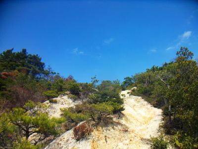 稜線はこういう砂地と岩の道が所々にある。下山時は滑り易いので注意が必要