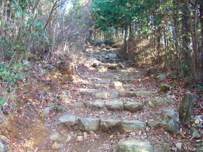 石の階段になるがそんなにしんどくない