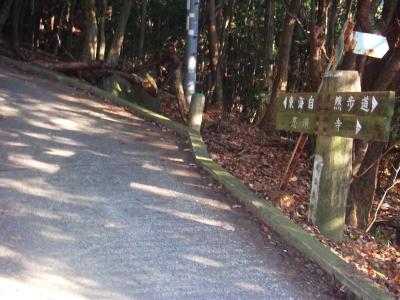 宝池寺の下。急登の舗装道がはじまるが竜王山山頂までもうすぐ