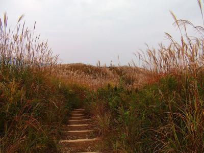 山頂から展望広場のほうへ行ってみる