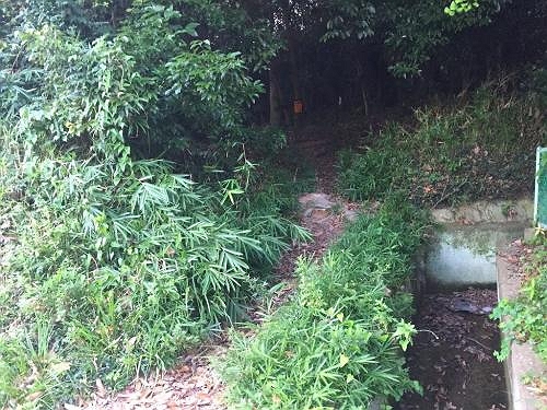 ここから入山
