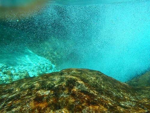 水中撮影してもブルーなんです！！