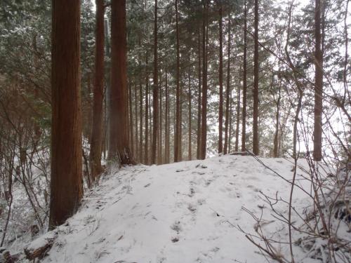 バリルートとの分岐。川合道は右だけど、直進すると天川温泉のほうへ降りていく尾根らしい