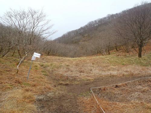 ここで右へ行き御池岳へ登っていく