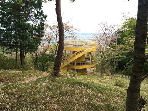 明るくなってからの展望台をみると見事に桜が散ってた