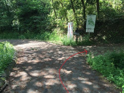 ここを三角点の方、右へ折れる