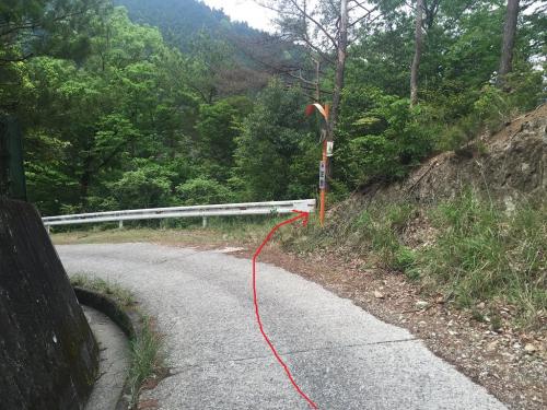 林道流谷線のこのミラーのところから入っていく